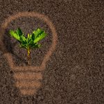 Green plant sprout growing within a lightbulb silhouette on soil background - Agriculture, environment, ecology and growth concept
